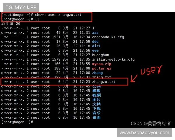 利用二维码、官网和应用市场多种方式下载壹号应用的完整流程 利用二维码、官网和应用市场多种方式下载壹号应用的完整流程