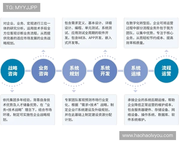 壹号信息官网：技术支持与常见问题解决方案指南